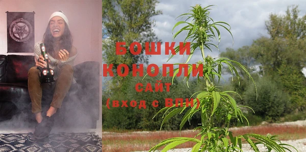 Альфа ПВП Елизово