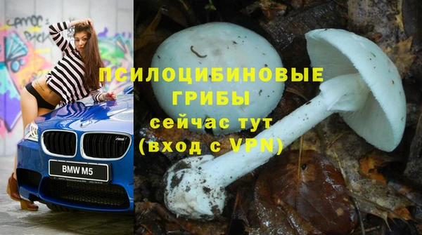 Альфа ПВП Елизово