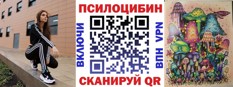 Купить  Углегорск  Псилоцибиновые грибы MAGIC MUSHROOMS 